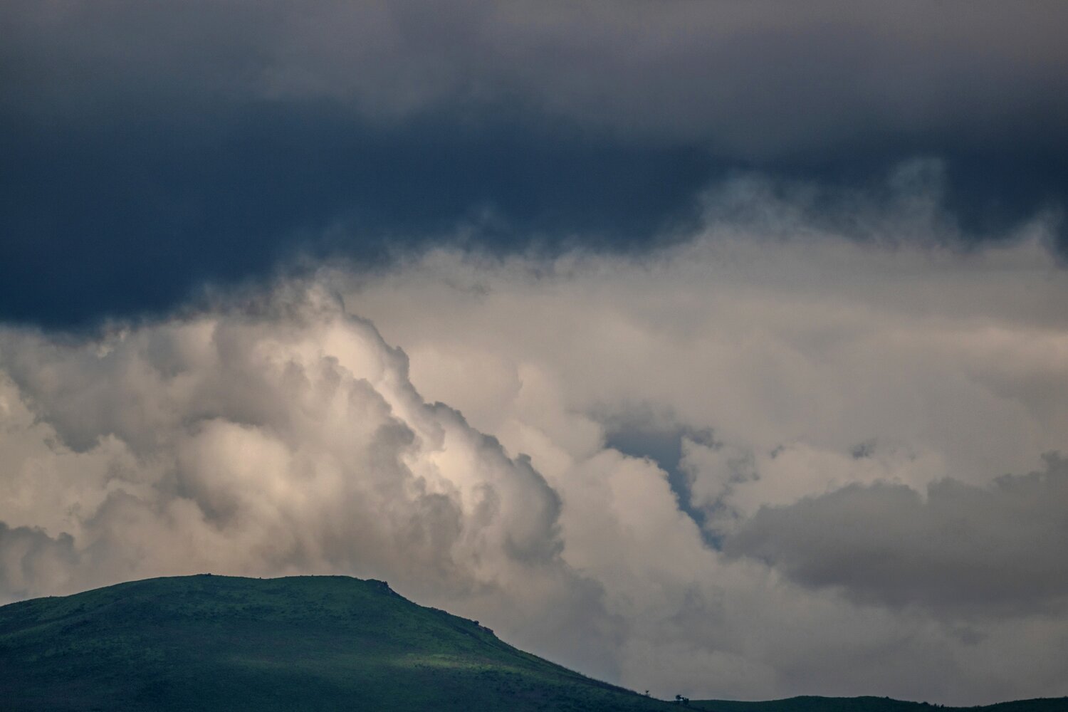 Photo #13774317