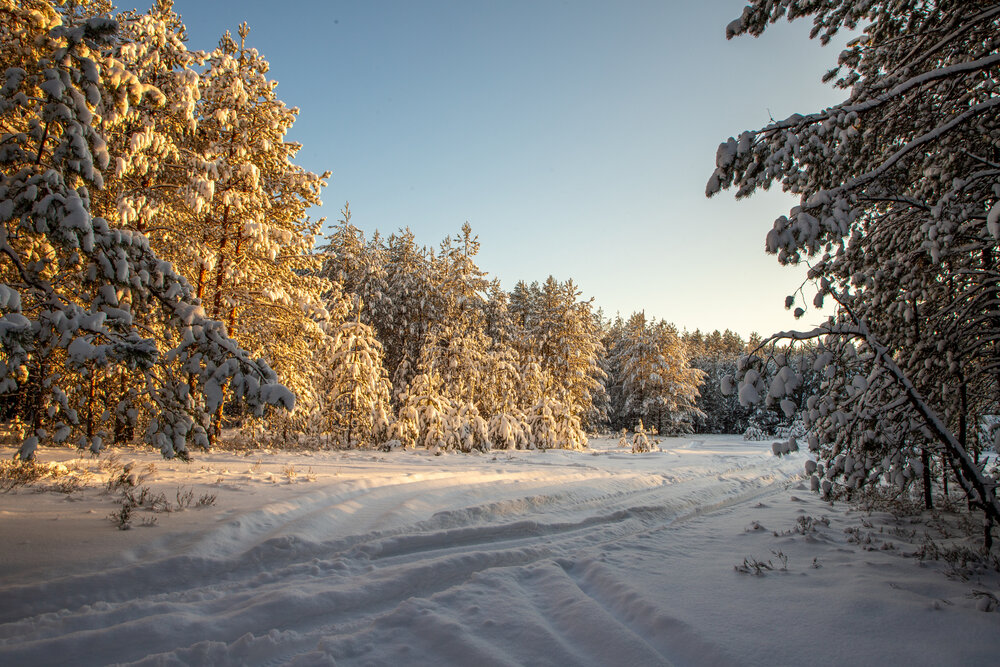 Photograph by Дмитрий Константинов