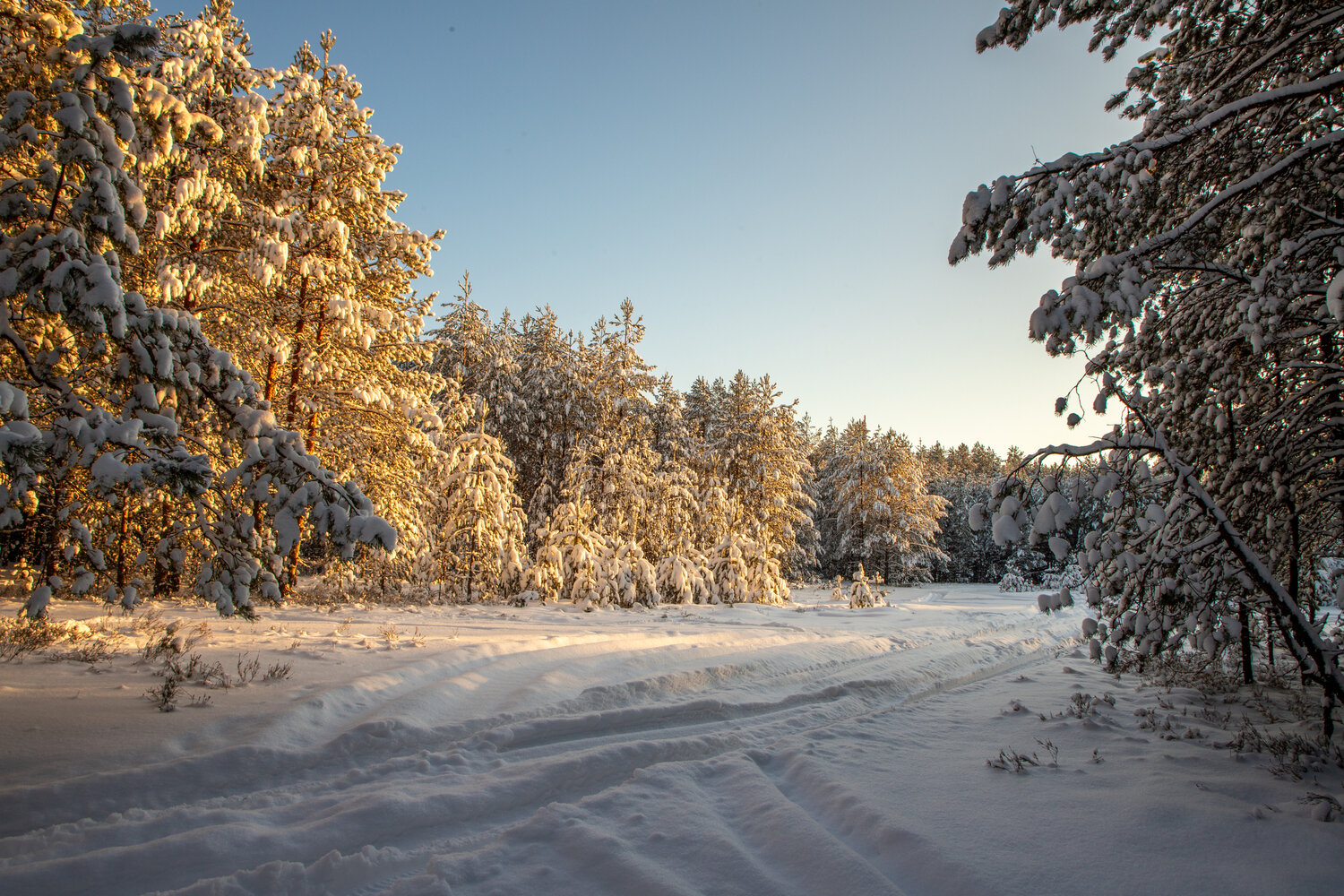 Photo #13774326