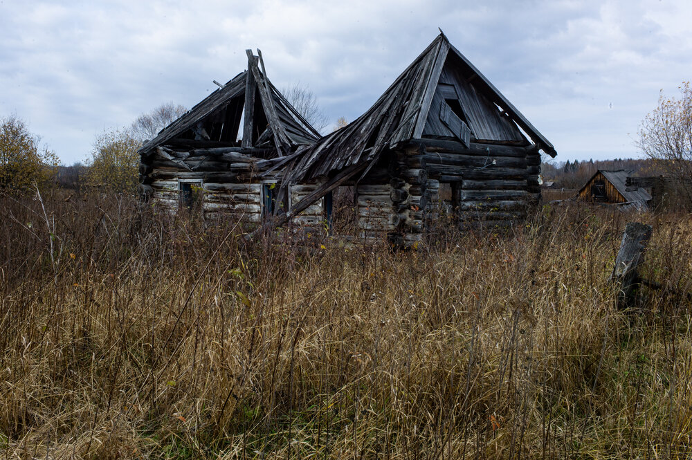 Photograph by Михаил Дронов