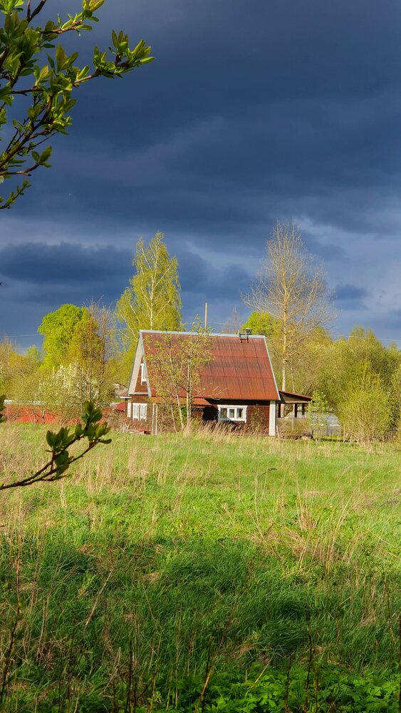 Весенние краски