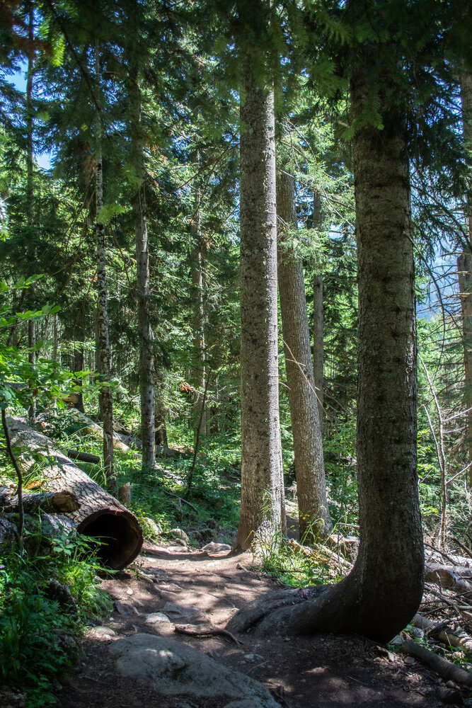 Photograph by Александра Плискова