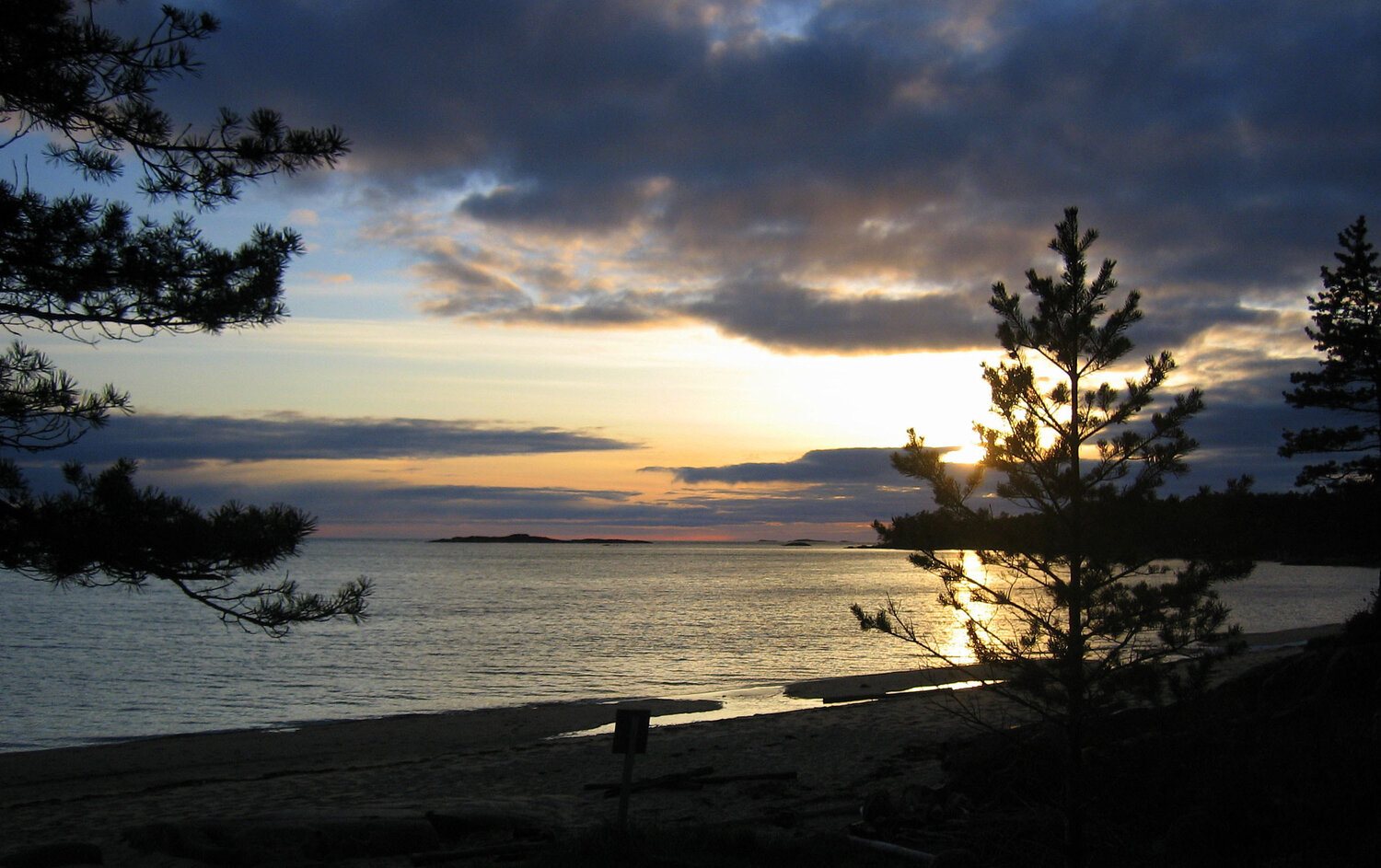 Photo #13774415