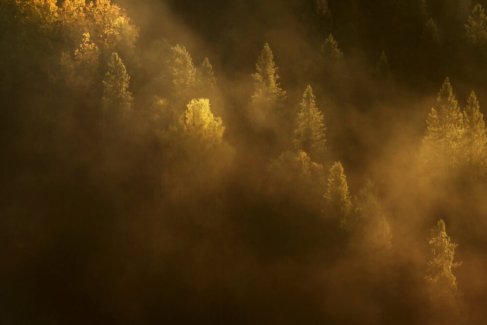 Photograph by Елена Соколова