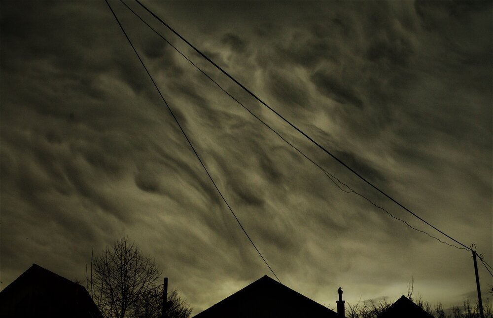 Photograph by MichaelS