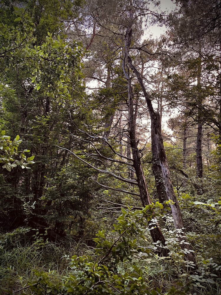 Photograph by Олеся Старицкая
