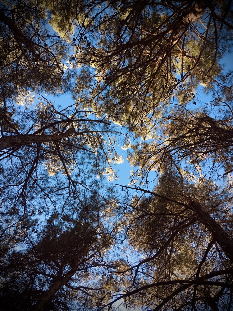 Photograph by Олеся Старицкая