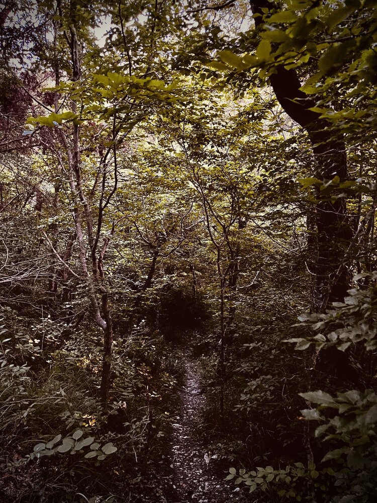 Photograph by Олеся Старицкая