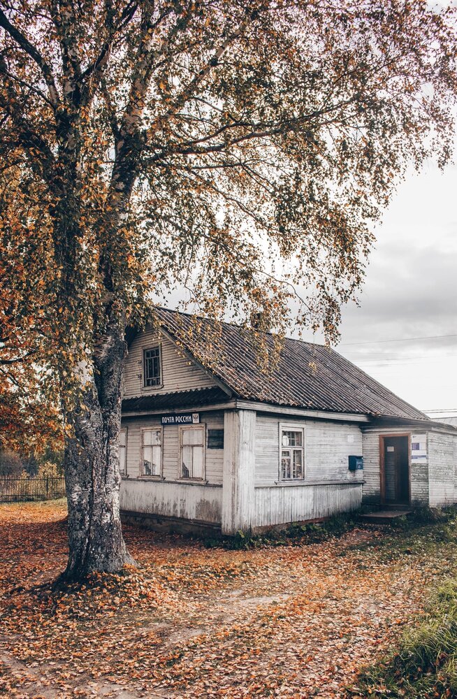 Photograph by Анастасия Лидяева