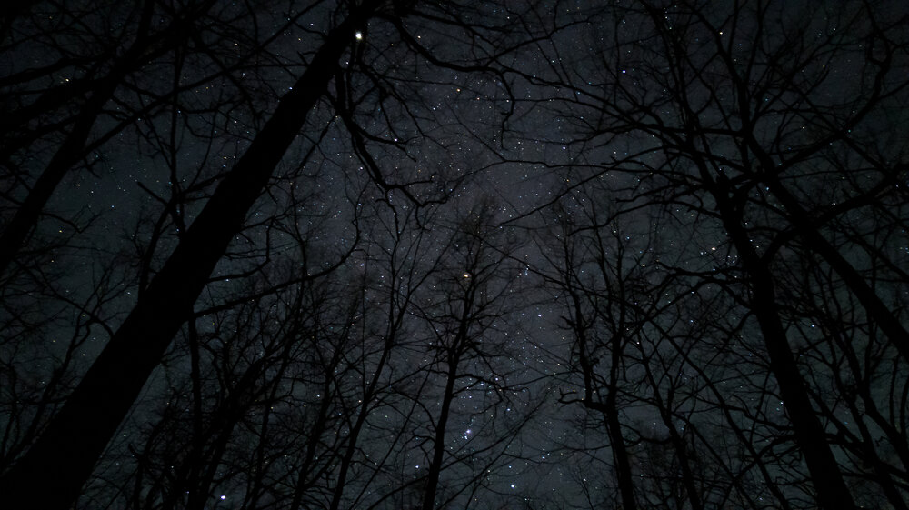 Photograph by Aндрей Иванов