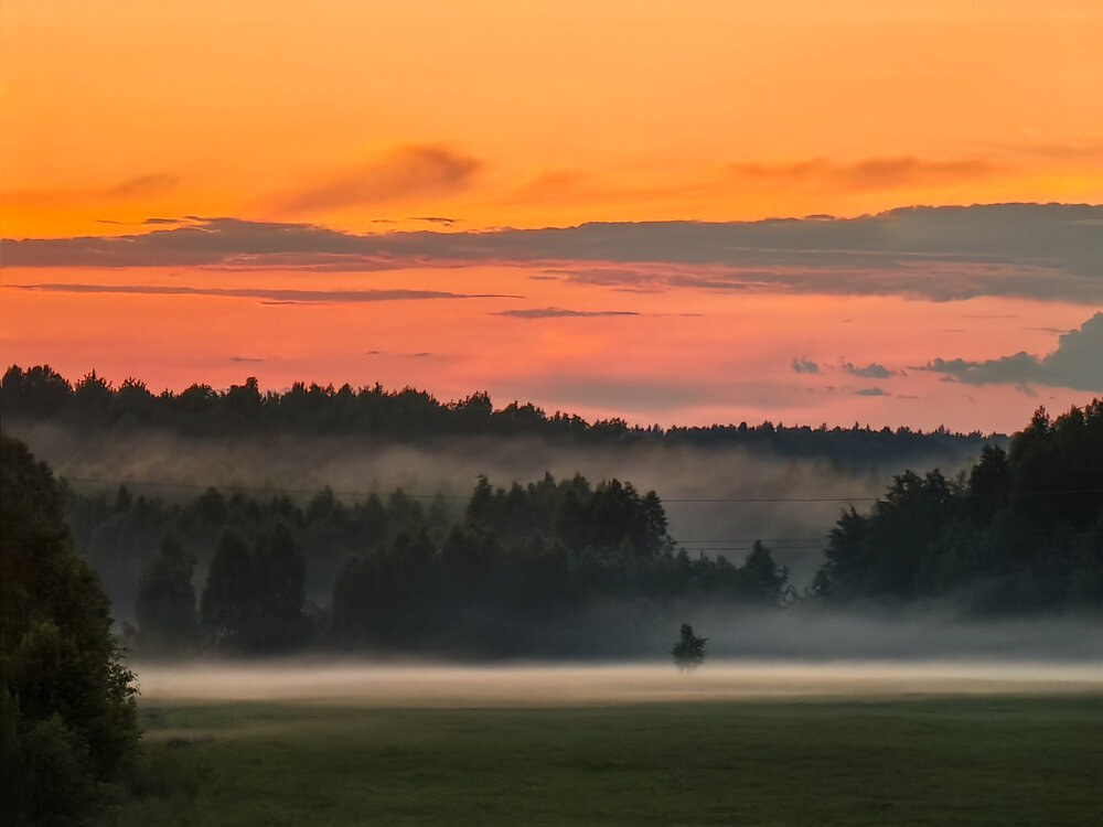 Photograph by Татьяна Емельянова