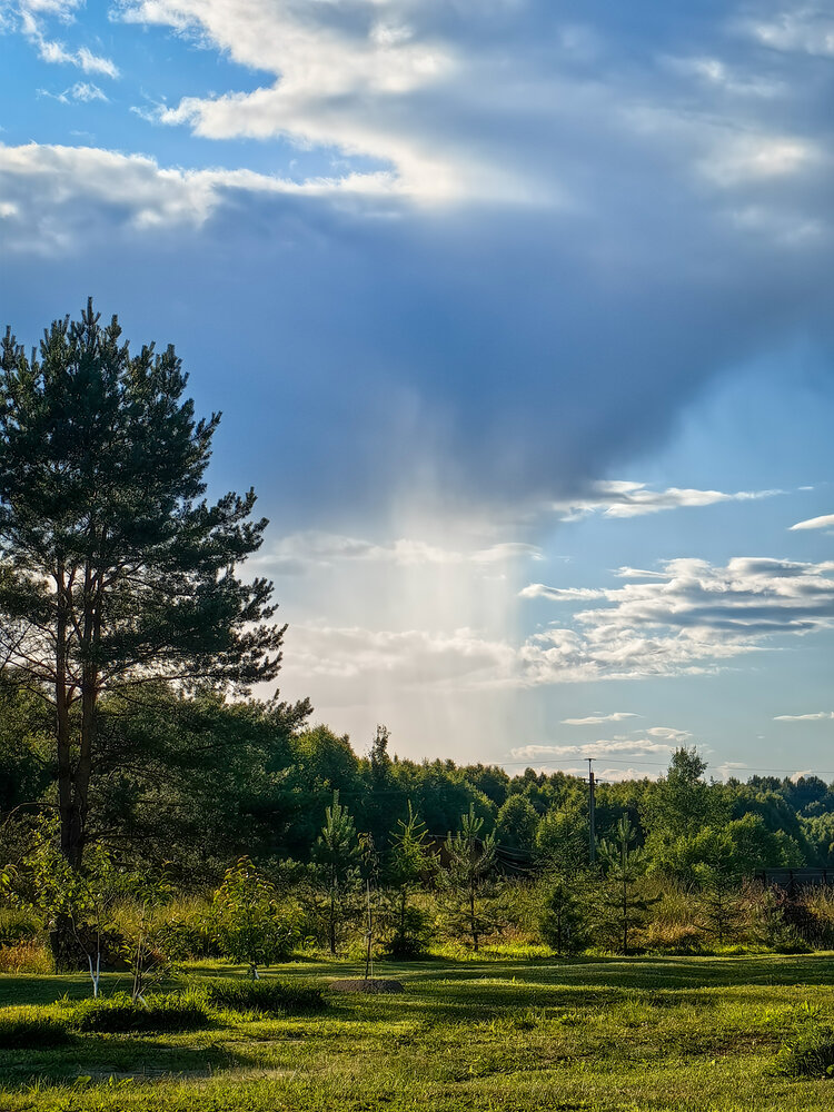 Photograph by Татьяна Емельянова