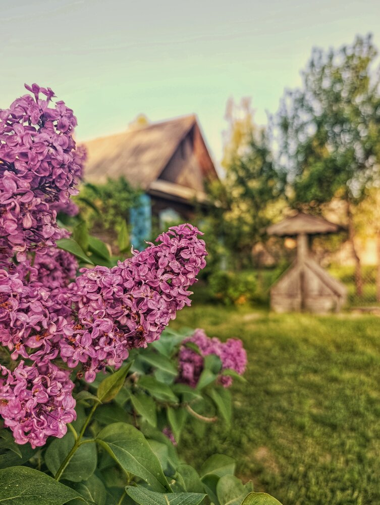Photograph by Юлия