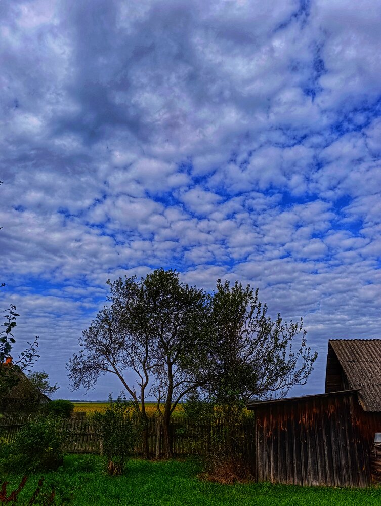 Photograph by Юлия