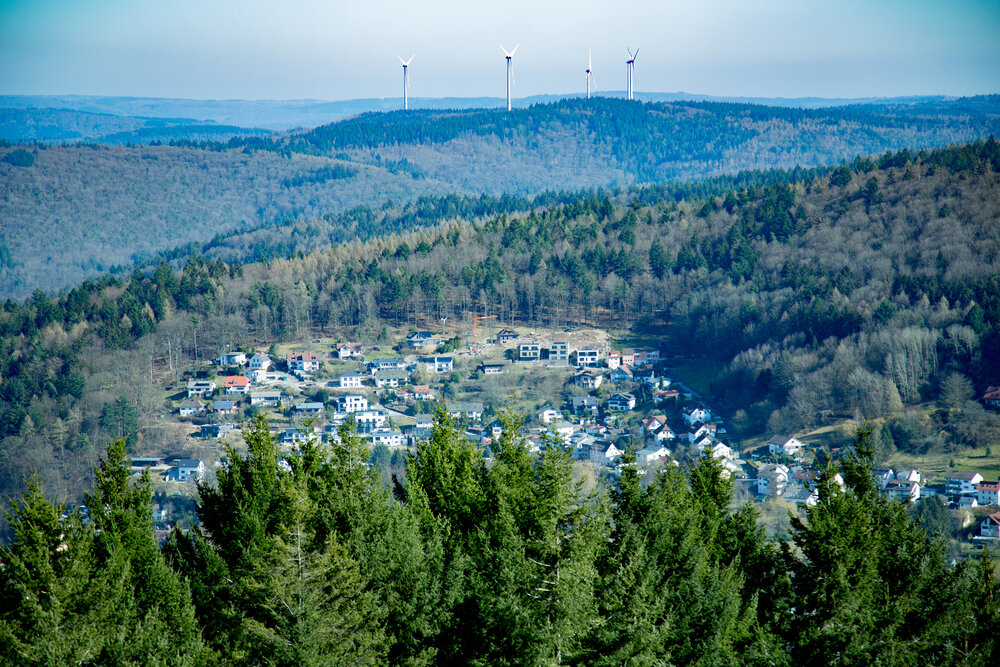 A beautiful detailed high angle landscape photograph showing multiple modern wind turbines on a mountain ridge near village houses and green pine trees pinus sylvestris during a sunny day