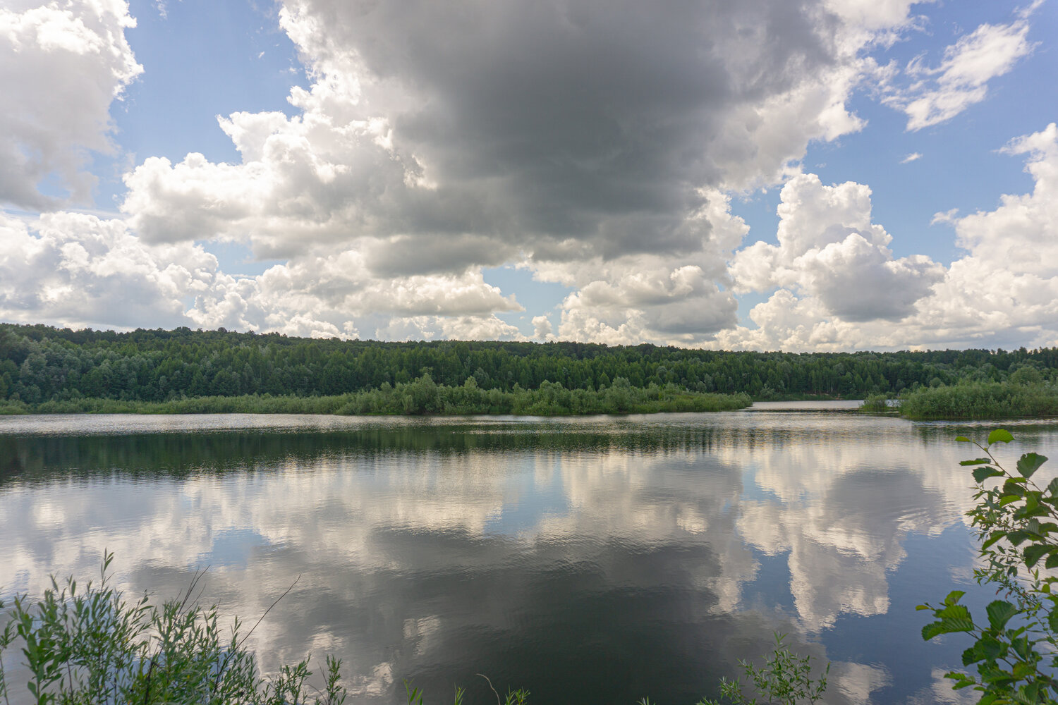 Photo #13774787