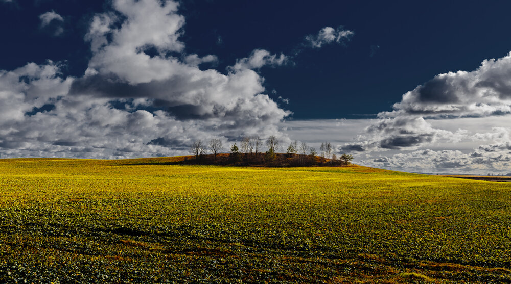 Photograph by Dmitry Yudchenko