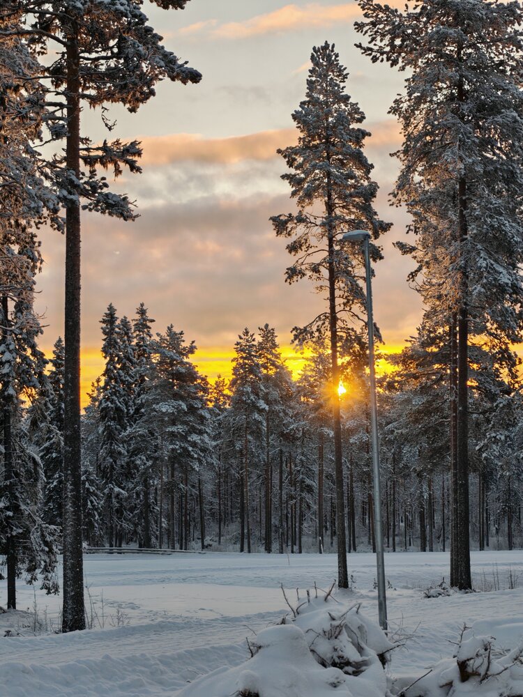 Photo #13774847