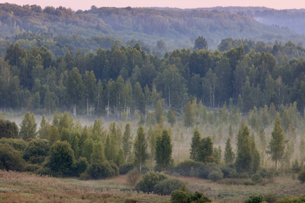 Photograph by Одаренко Ольга