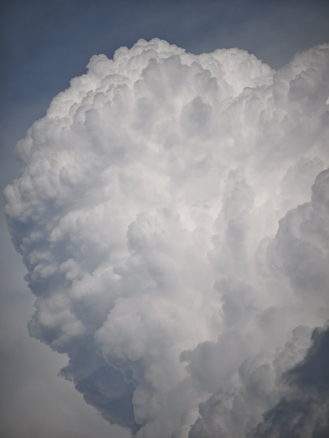 Photo #13774972
