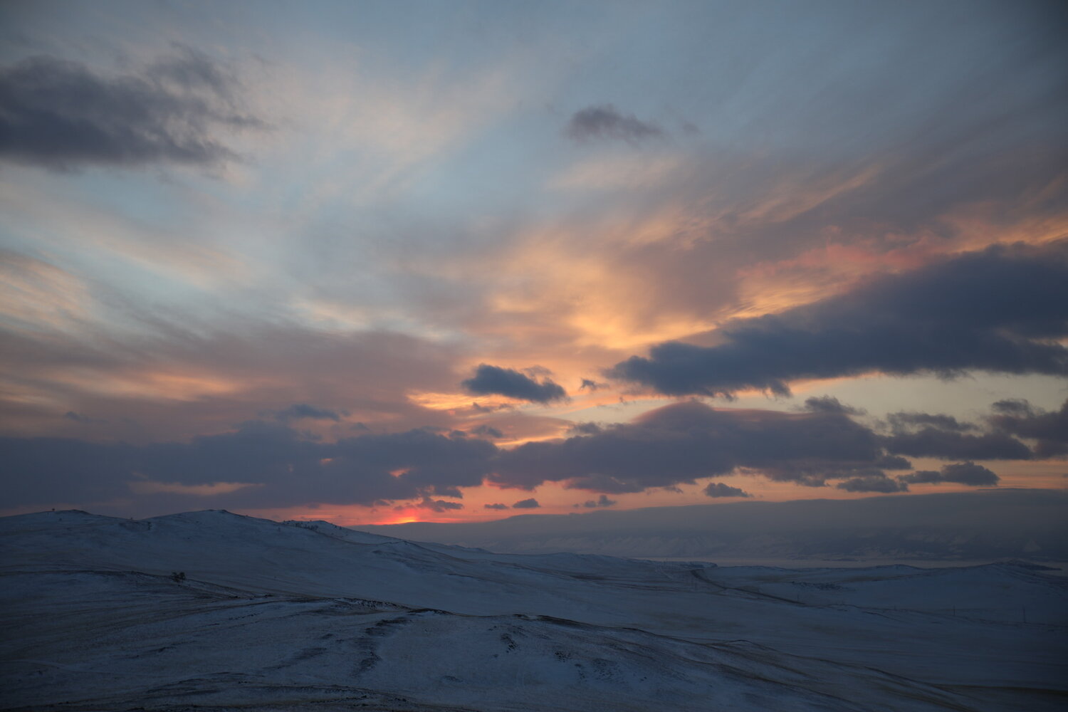 Photo #13774991