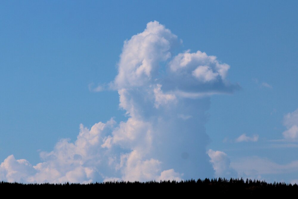 Photograph by Александр Велигура