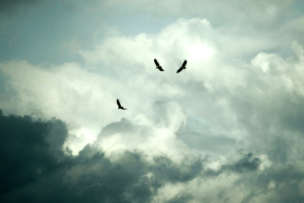 Photograph by Павел