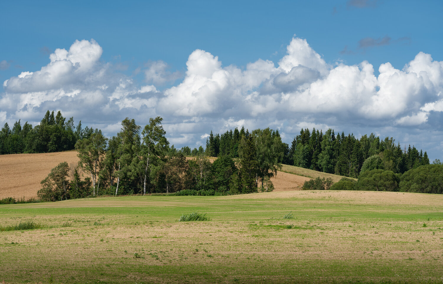 Photo #13775147