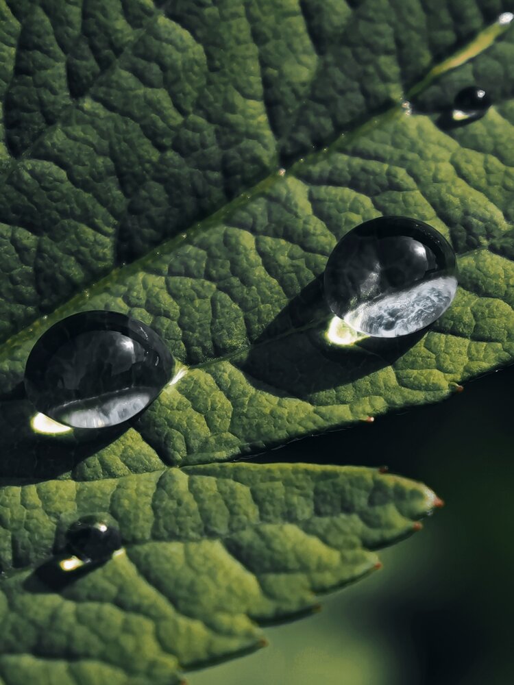 Photograph by Вера Красюкова