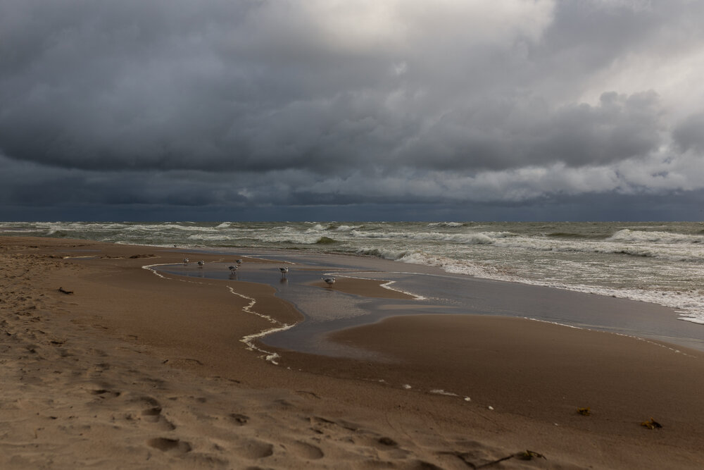 Photograph by LIUDMILA BABROUSKAYA