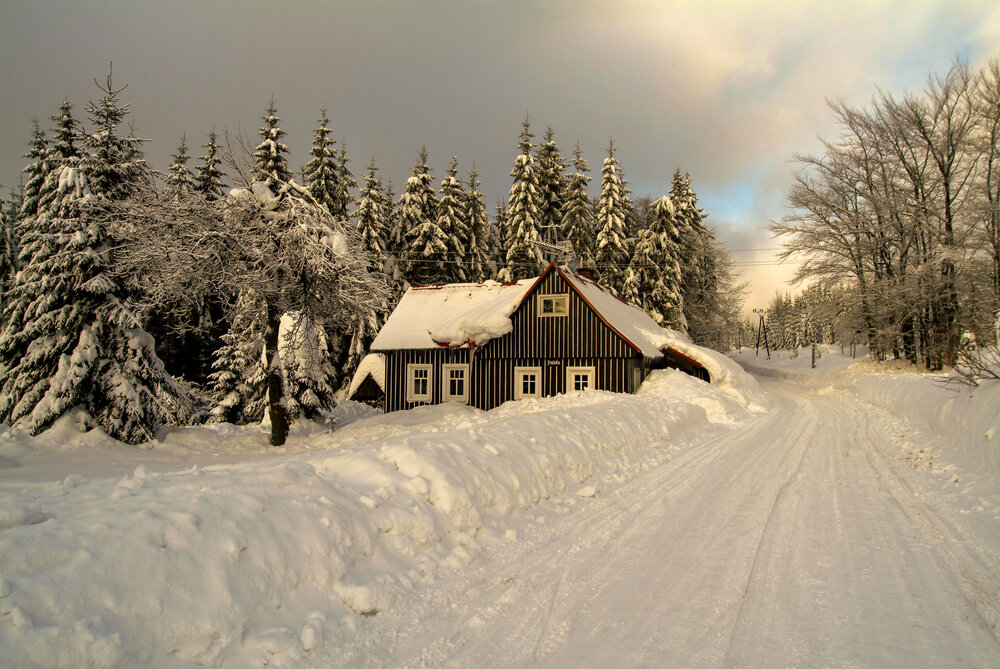 Photo #13775191