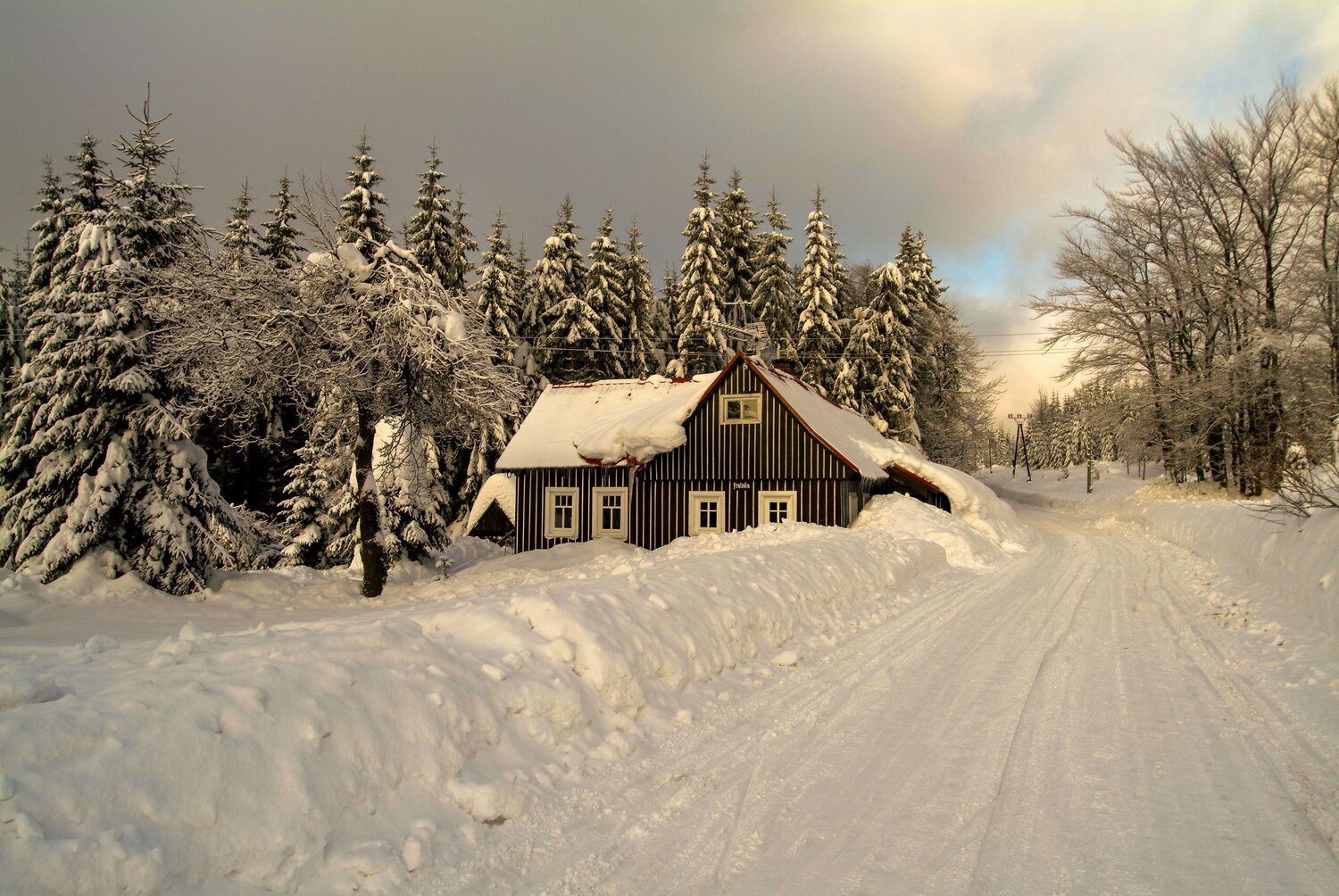 Photo #13775191