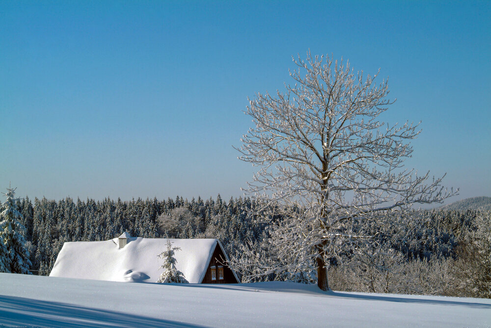 Photo #13775214