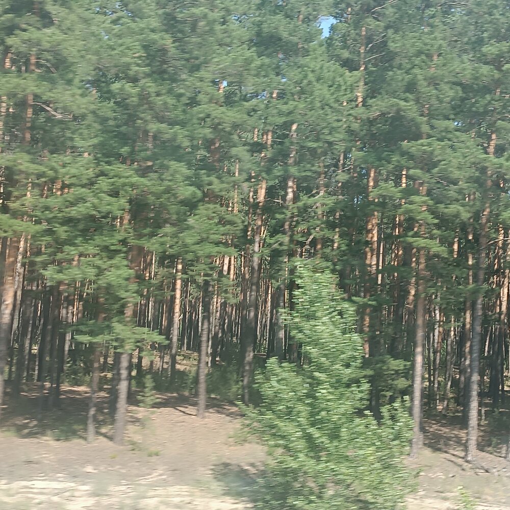 Photograph by Елена Колышева