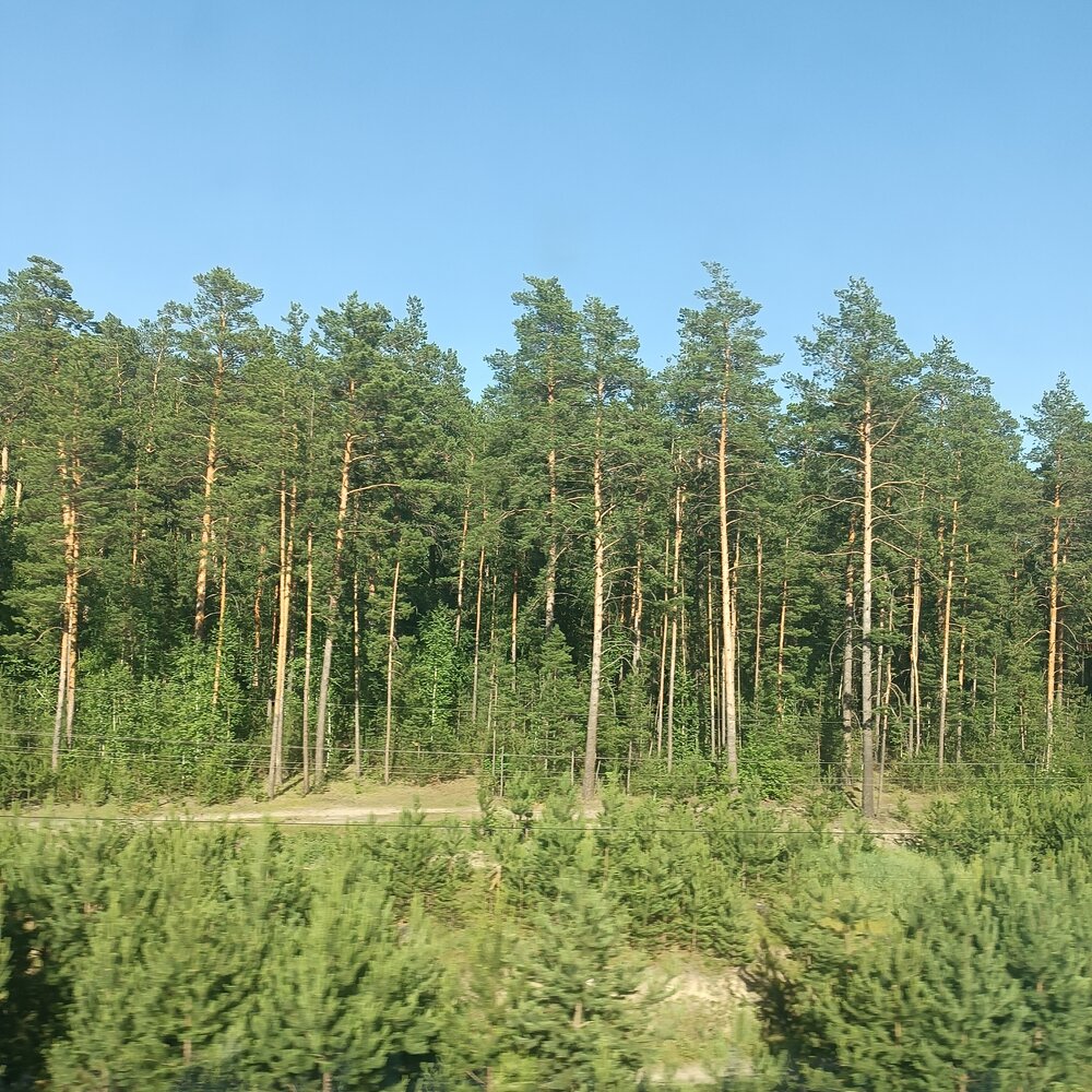 Photograph by Елена Колышева