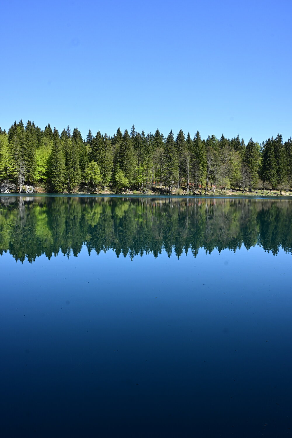 Photo #13775254
