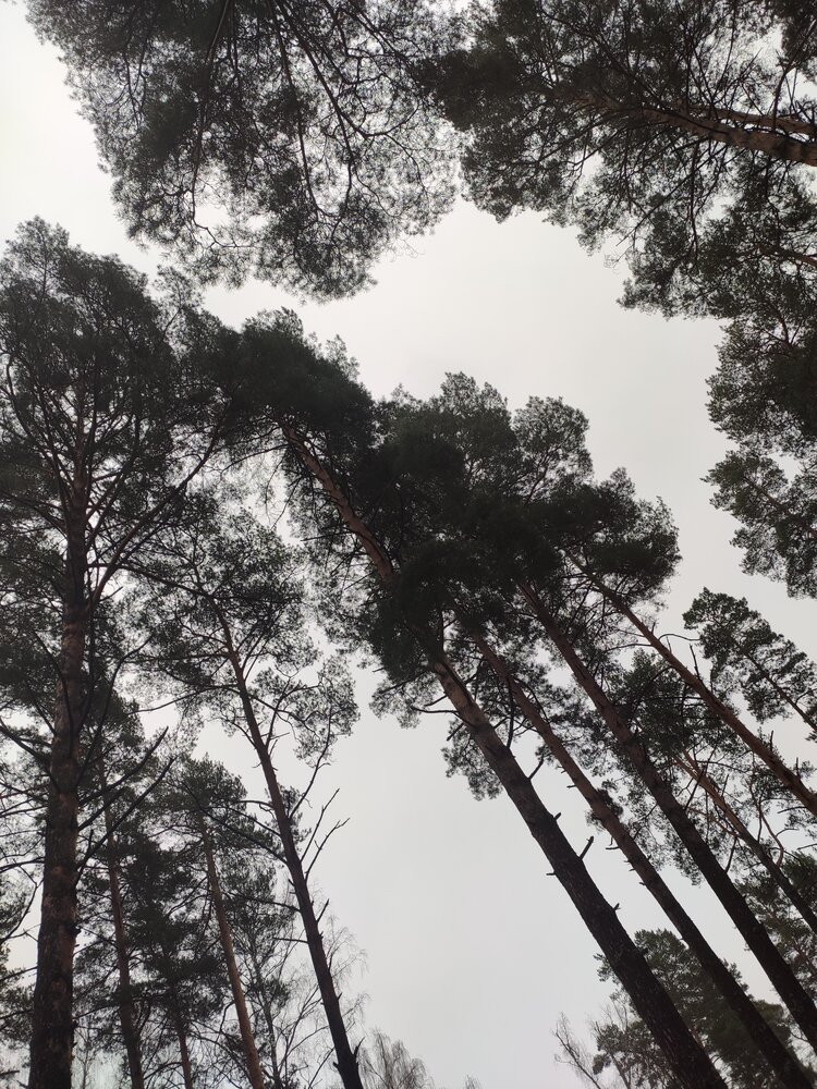 Photograph by Анна Андреевна