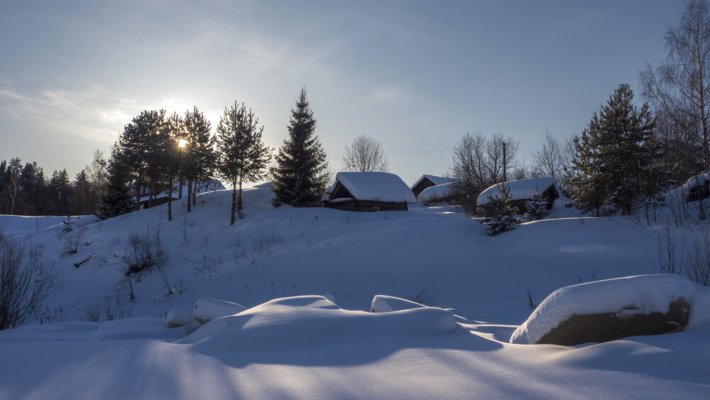 Photo #13775281