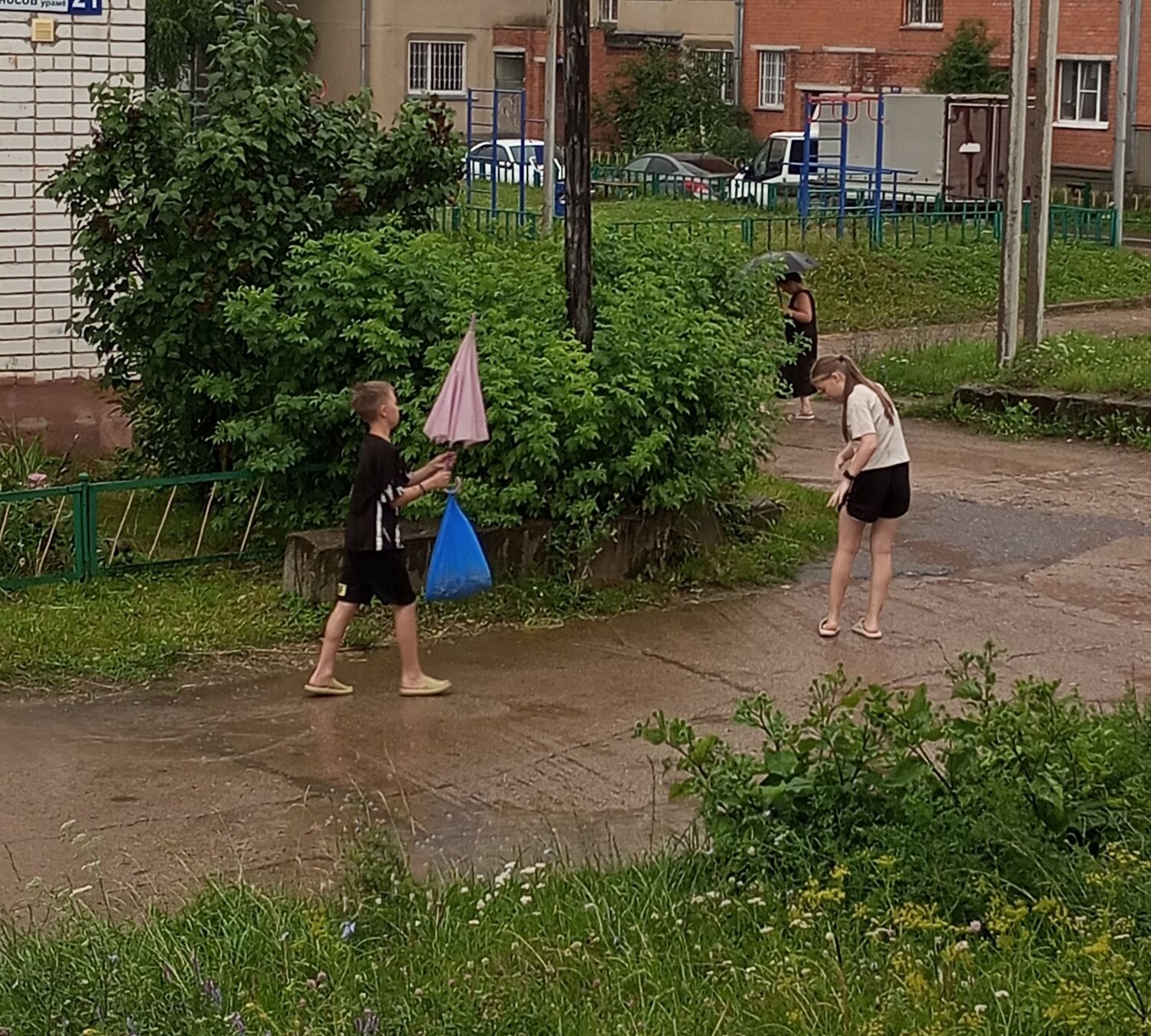 Photo #13775340