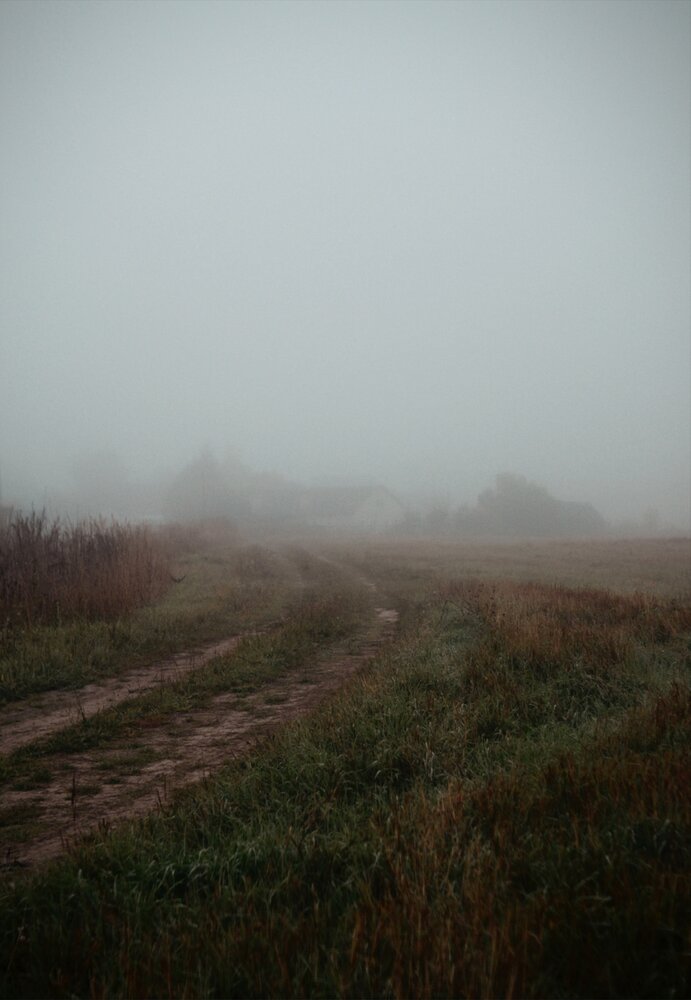 Photograph by Ольга Белогузова
