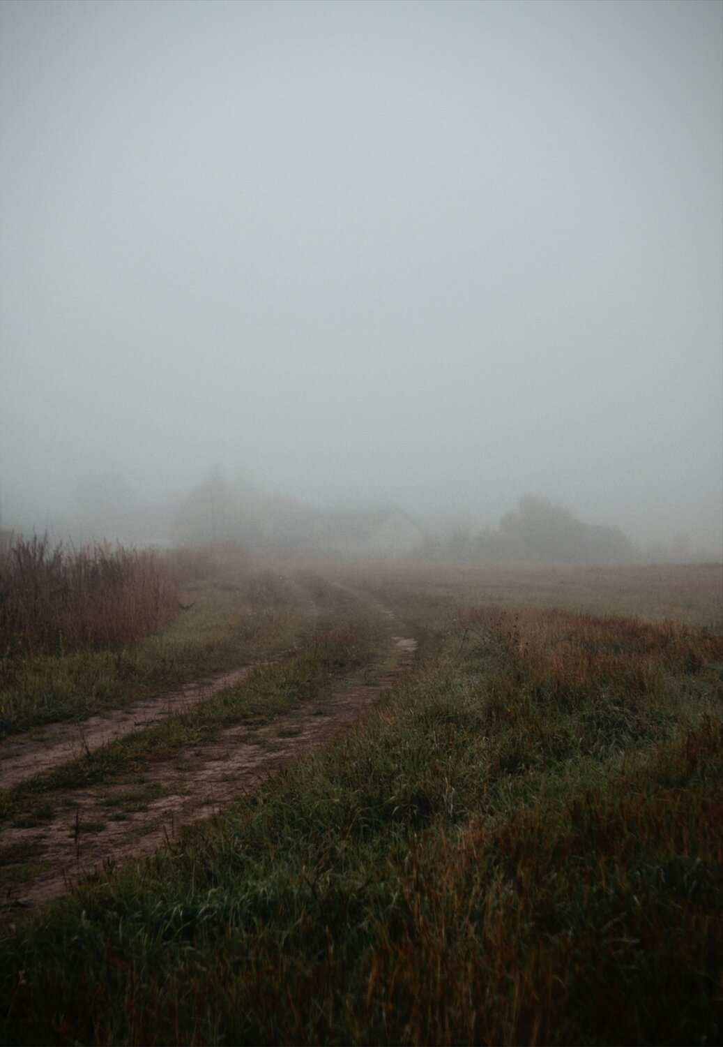 Photo #13775402