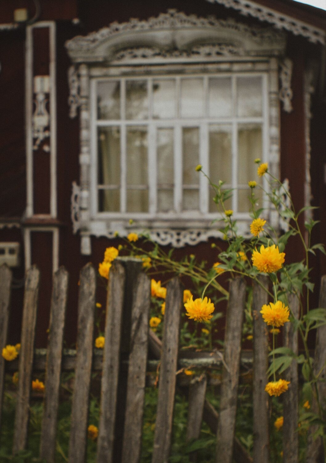 Photo #13775434