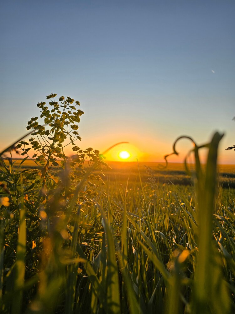 Photograph by Елена Оборник