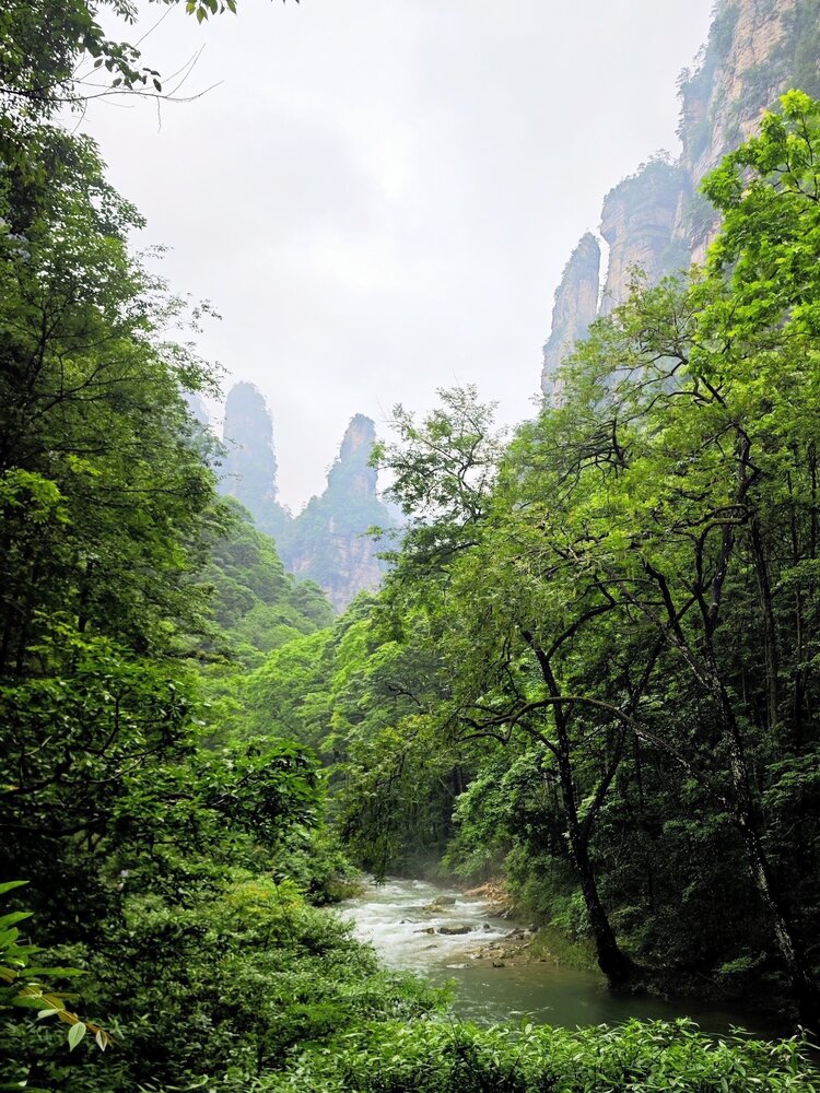 Photograph by Игорь Бахарев
