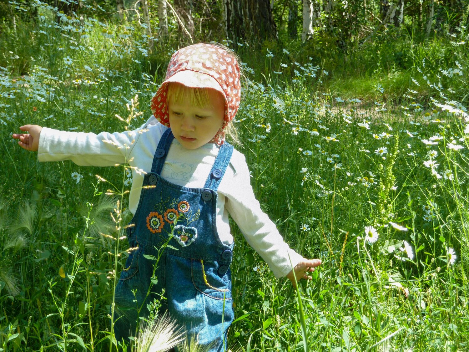 Photo #13775588