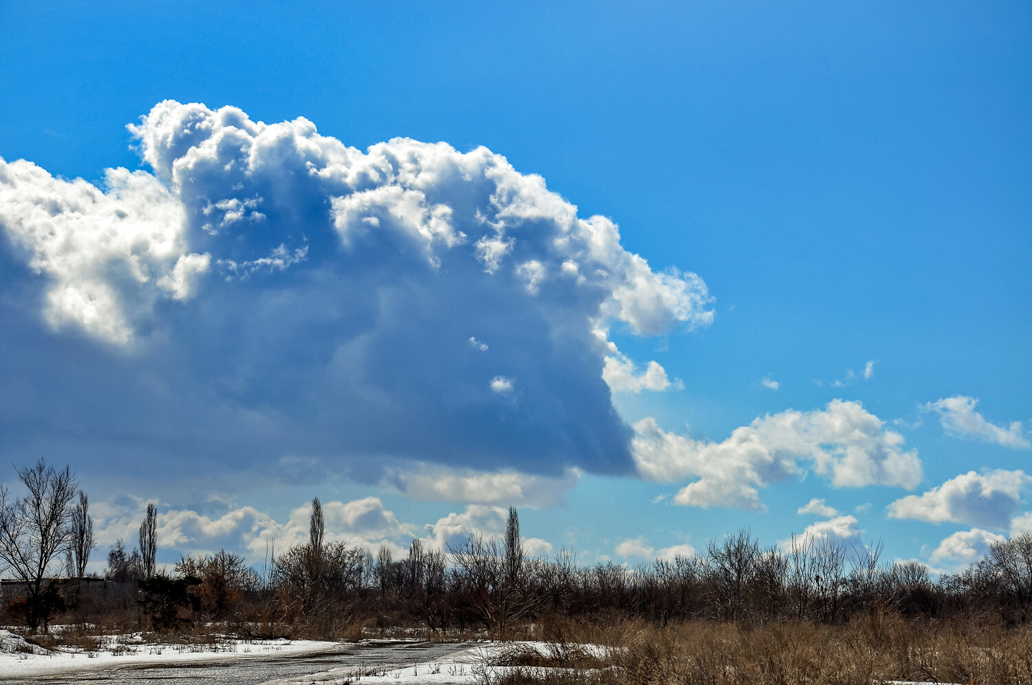 Photo #13775659