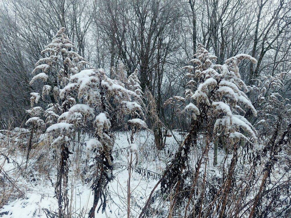 Photograph by Павел Алексеев
