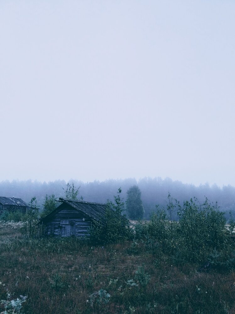 Photograph by Биденко Анастасия