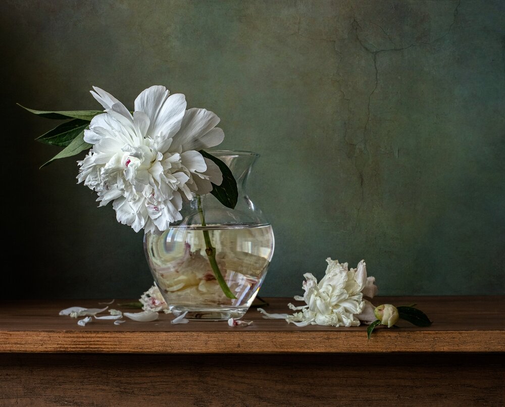 Photograph by Зиннурова Ирина