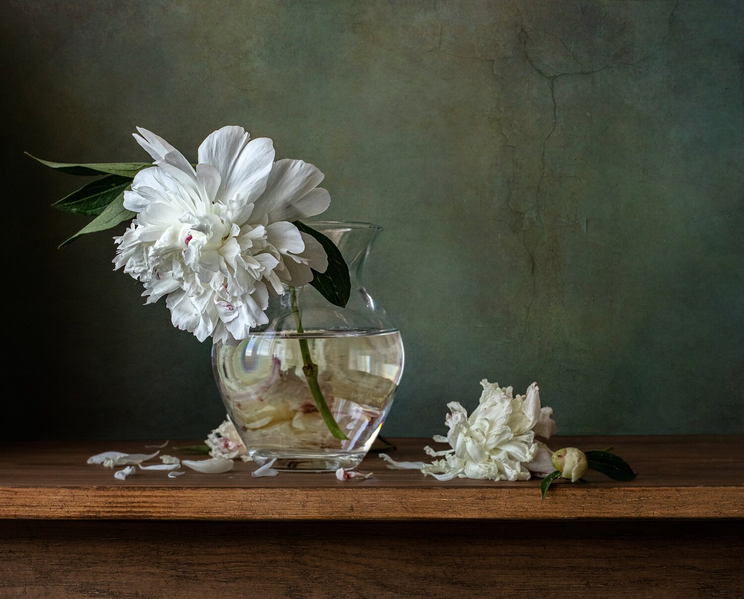Photo #13775696